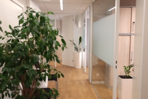 BP Office